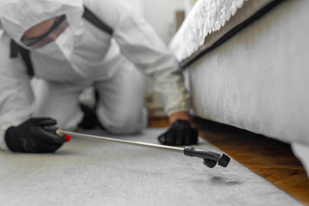 Professional Wasp Control technician working in Fort Washington, MD