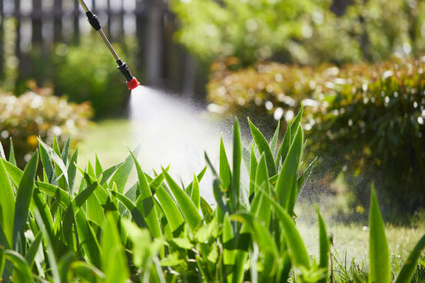 24/7 Emergency Termite Control experts in Fort Washington, MD