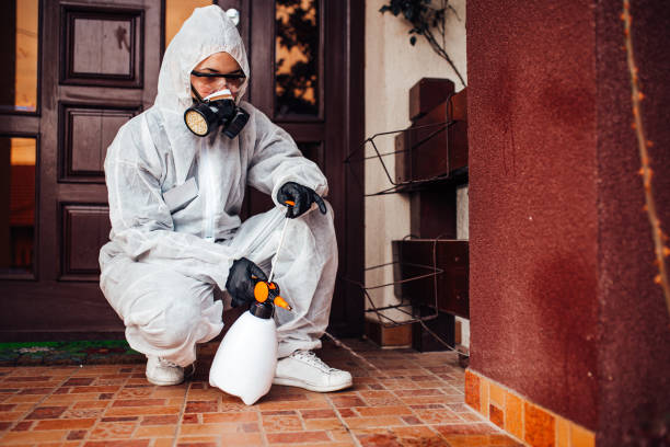 Reliable Termite Control contractor in Fort Washington, MD by Nex Pest Control